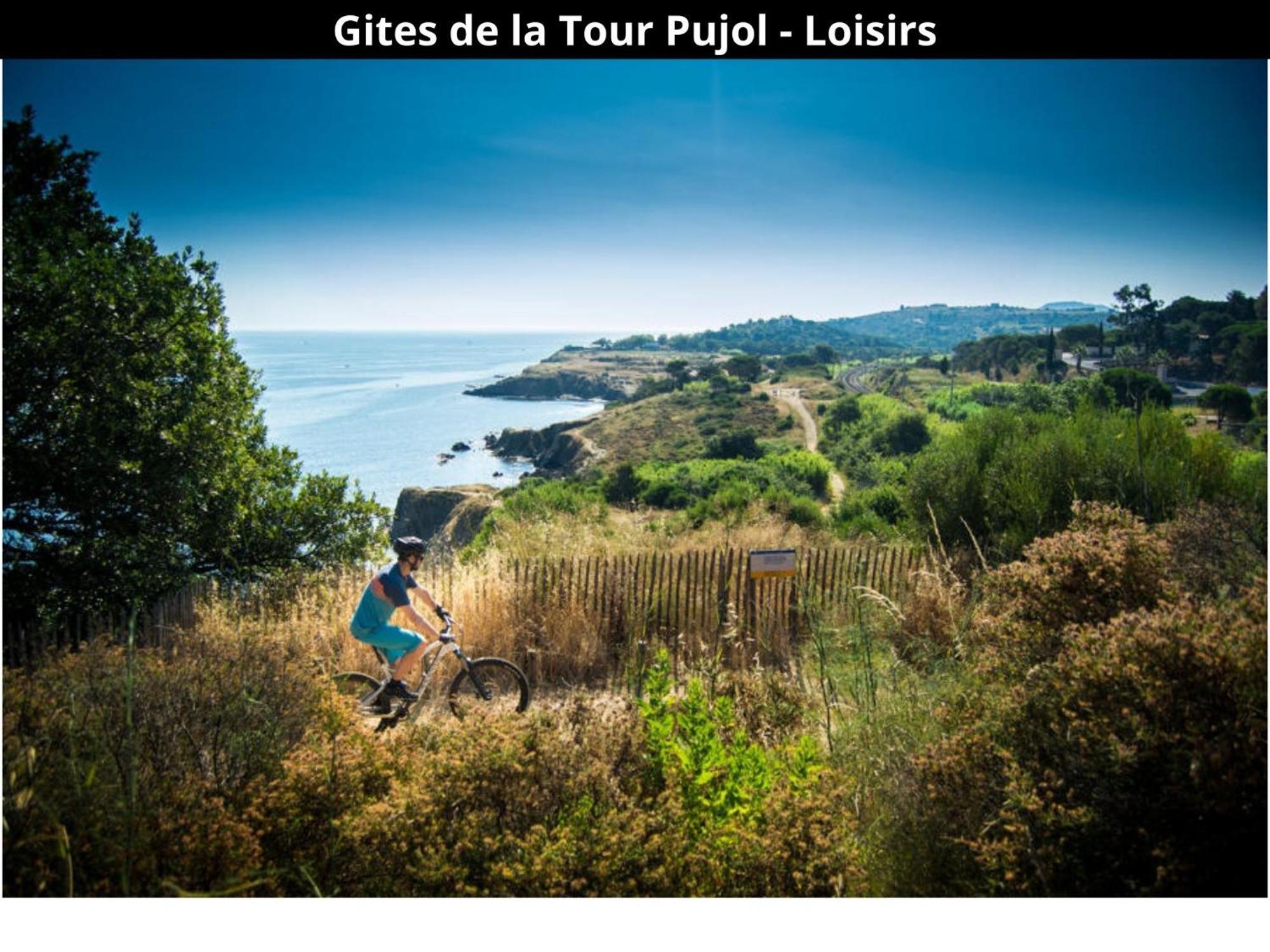 Les Gites De La Tour Pujol Argelès-sur-Mer Εξωτερικό φωτογραφία