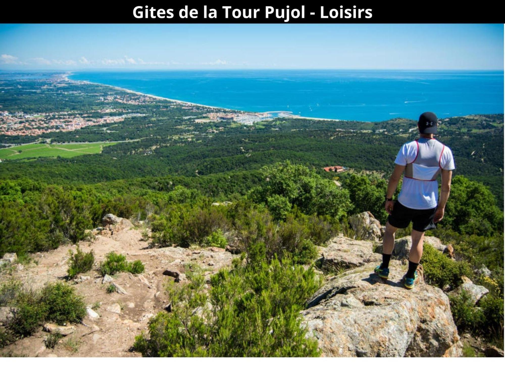 Les Gites De La Tour Pujol Argelès-sur-Mer Εξωτερικό φωτογραφία