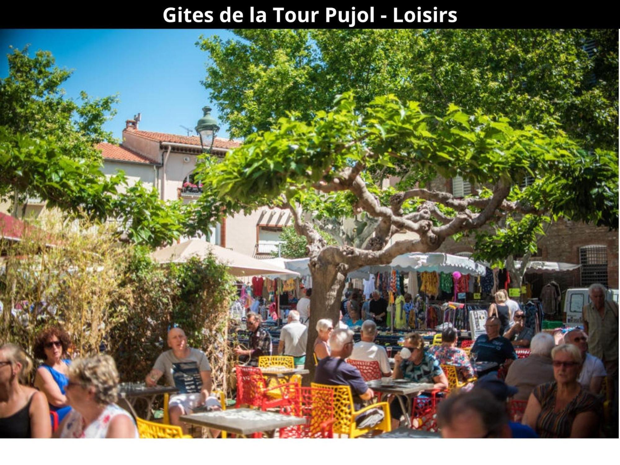 Les Gites De La Tour Pujol Argelès-sur-Mer Εξωτερικό φωτογραφία