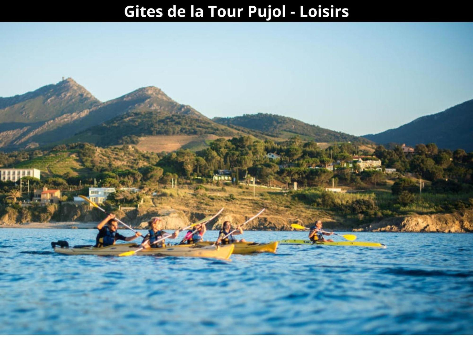 Les Gites De La Tour Pujol Argelès-sur-Mer Εξωτερικό φωτογραφία