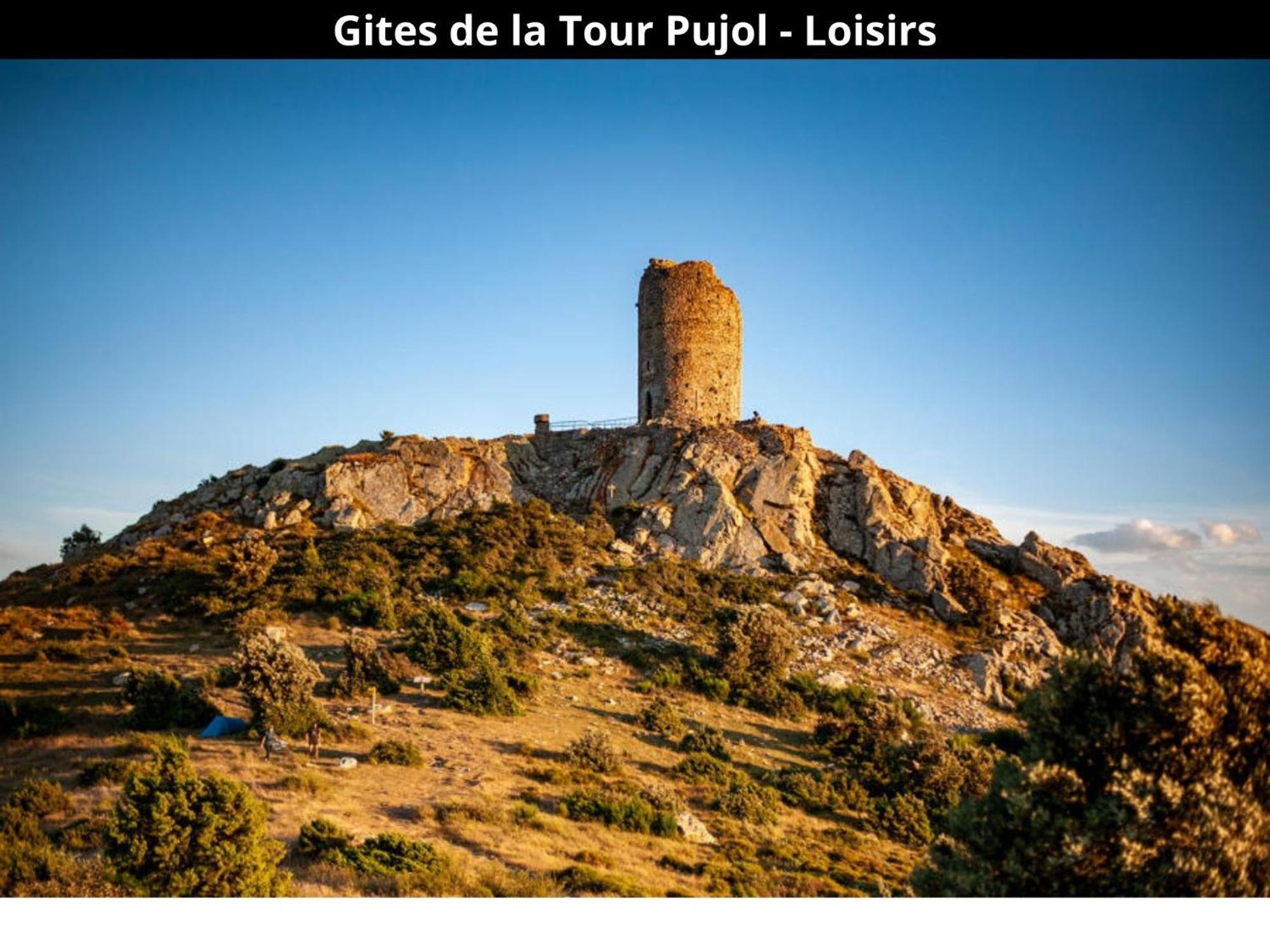 Les Gites De La Tour Pujol Argelès-sur-Mer Εξωτερικό φωτογραφία