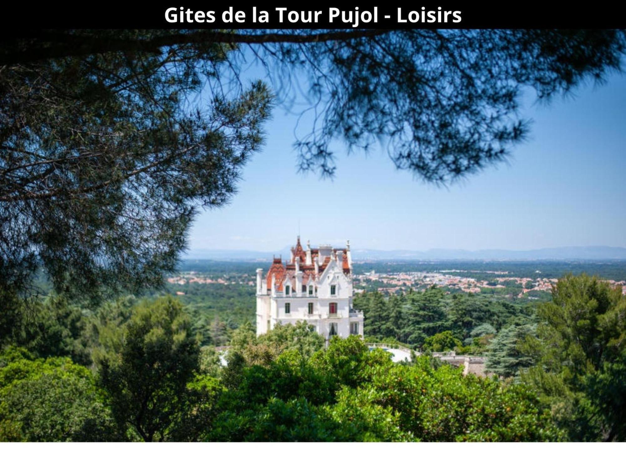 Les Gites De La Tour Pujol Argelès-sur-Mer Εξωτερικό φωτογραφία