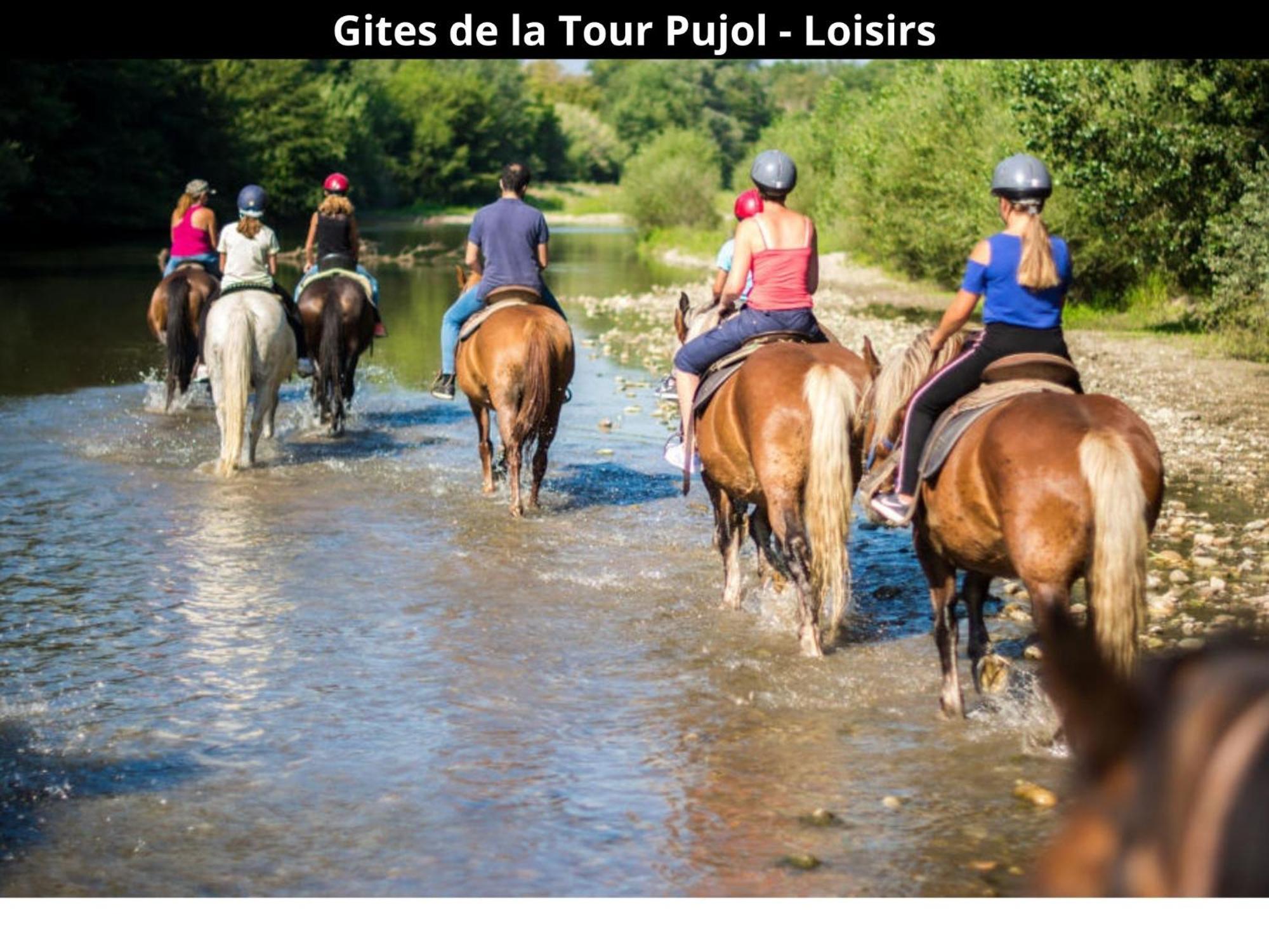 Les Gites De La Tour Pujol Argelès-sur-Mer Εξωτερικό φωτογραφία